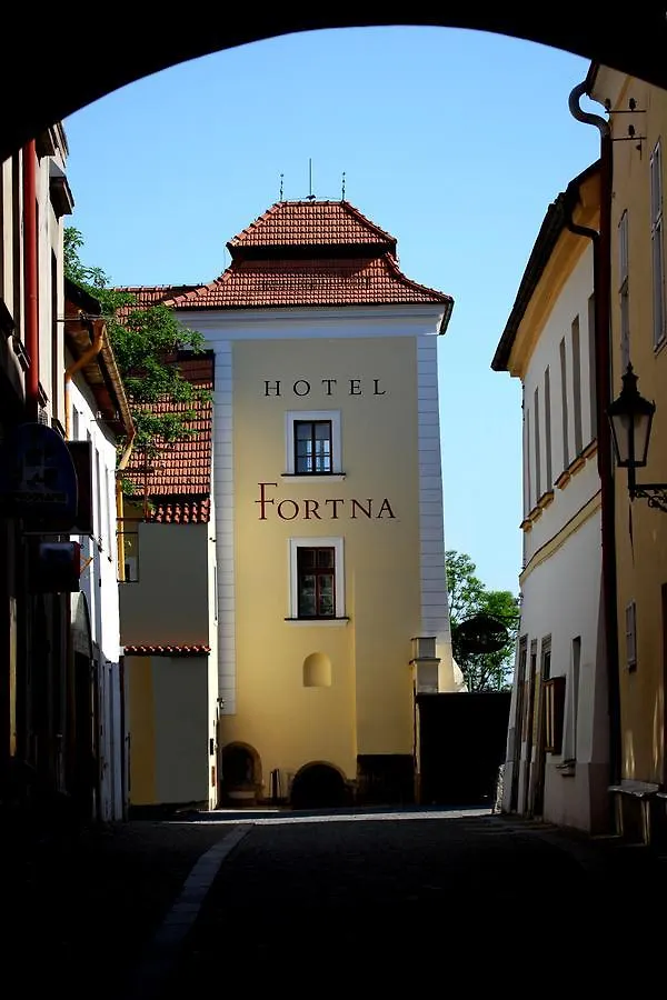 ****  Hotel Fortna Chrudim Czech Republic